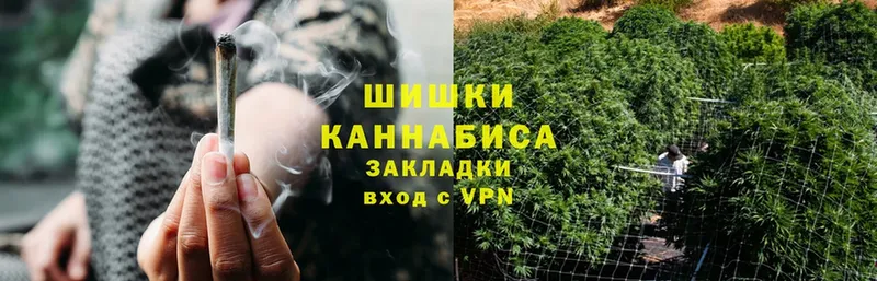 Каннабис White Widow  Буй 